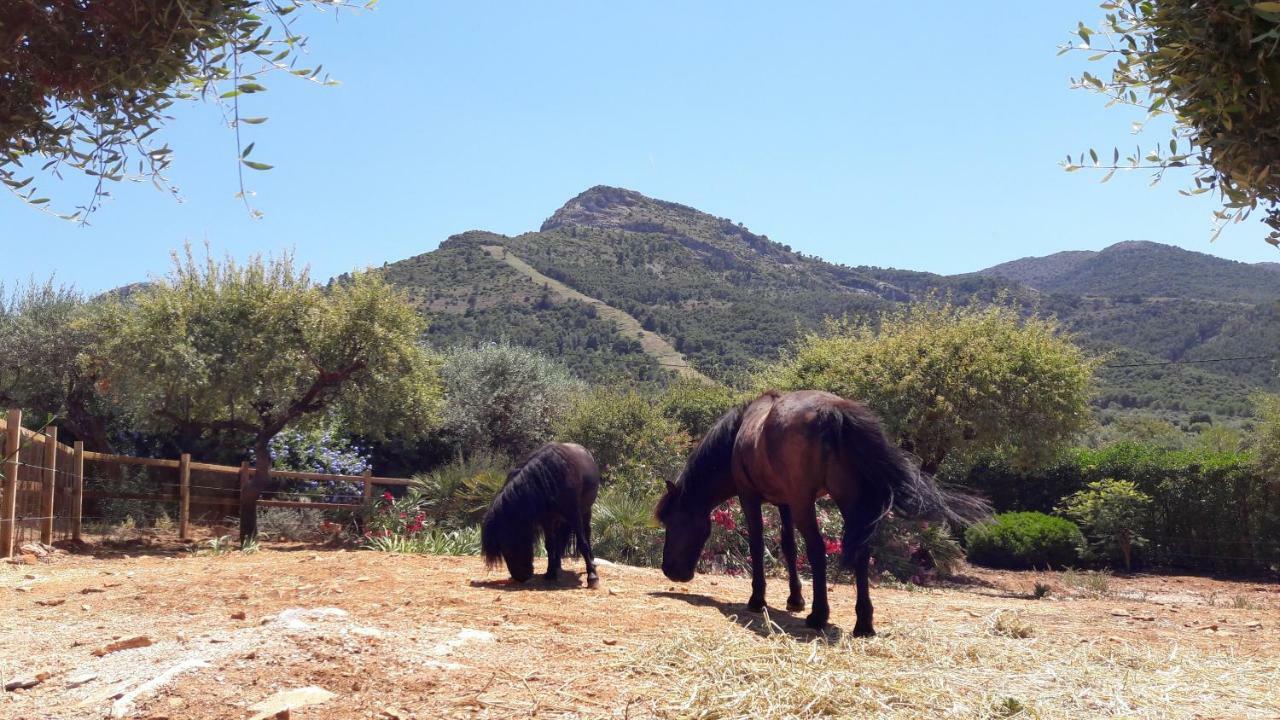 Finca Roca Vista, Adults Only Алаурін-ель-Гранде Екстер'єр фото